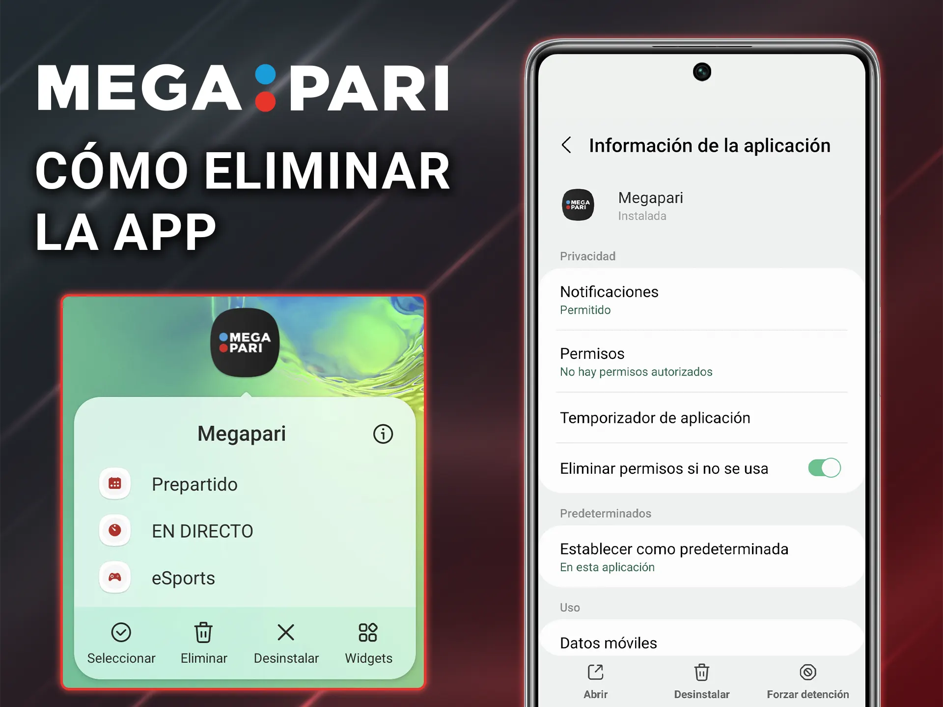 Descubre cómo eliminar la aplicación Megapari.